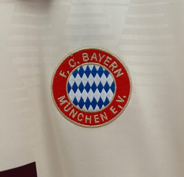 BAYERN MUNICH VISITA ALTERNATIVA 2025 - Imagen 3