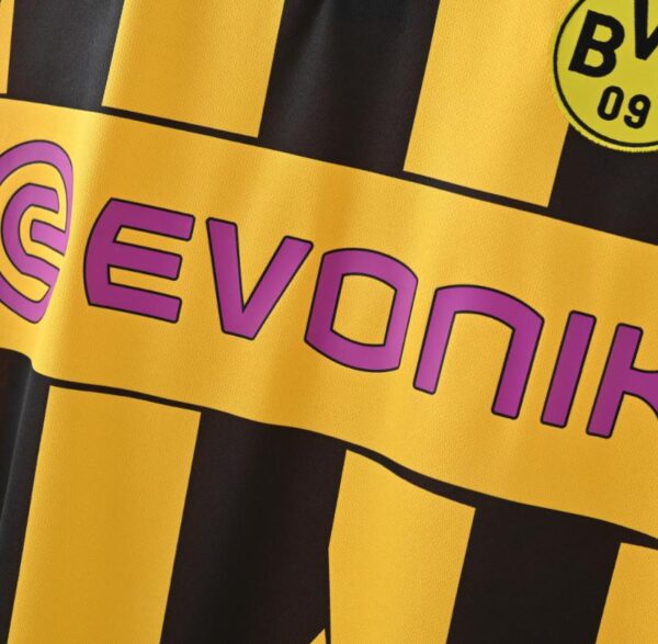 BORUSSIA DORTMUND LOCAL 2013 - Imagen 4