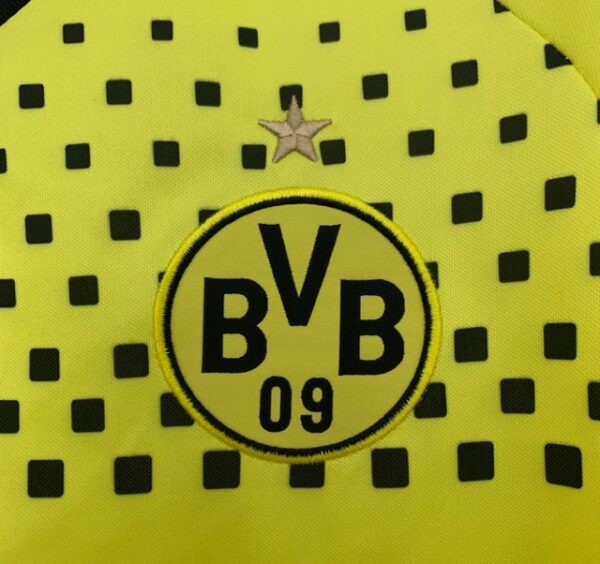BORUSSIA DORTMUND LOCAL 2012 - Imagen 5