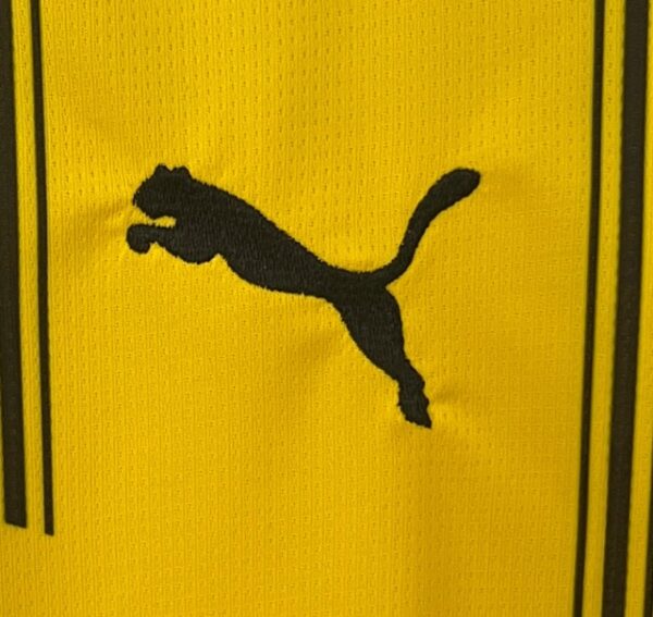BORUSSIA DORTMUND LOCAL 2025 - Imagen 5