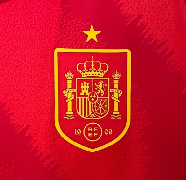 ESPAÑA LOCAL 2025 - Imagen 2