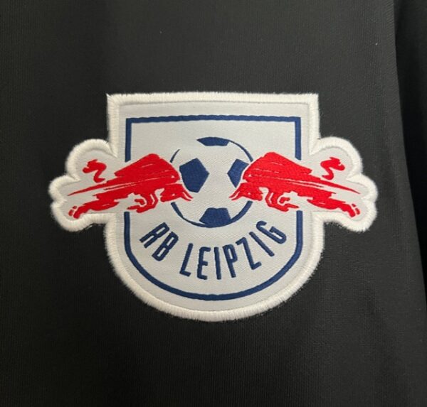 LEIPZIG VISITA 2025 - Imagen 4