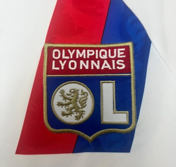 LYON LOCAL 2011 - Imagen 3