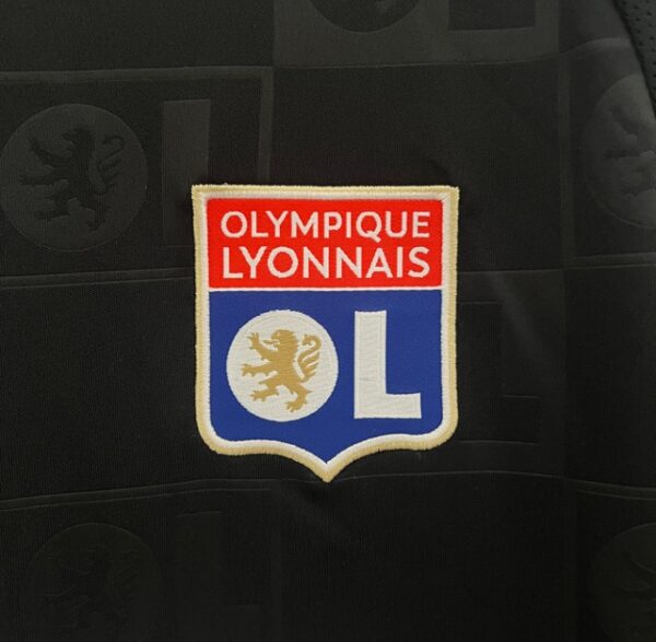 LYON VISITA 2025 - Imagen 3