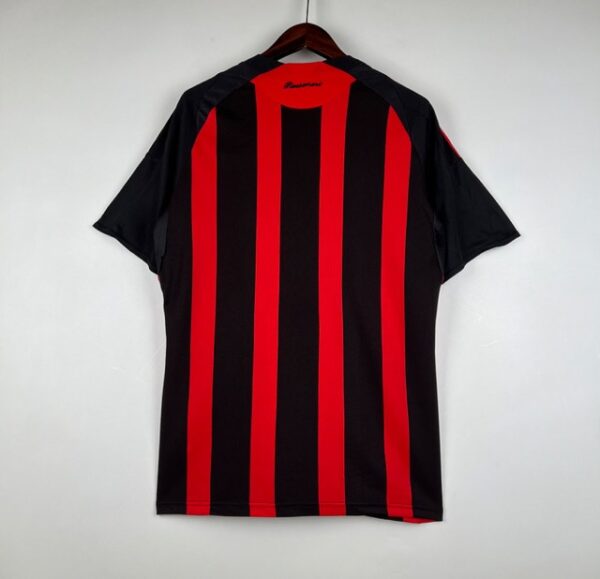 MILAN LOCAL 2009 - Imagen 2