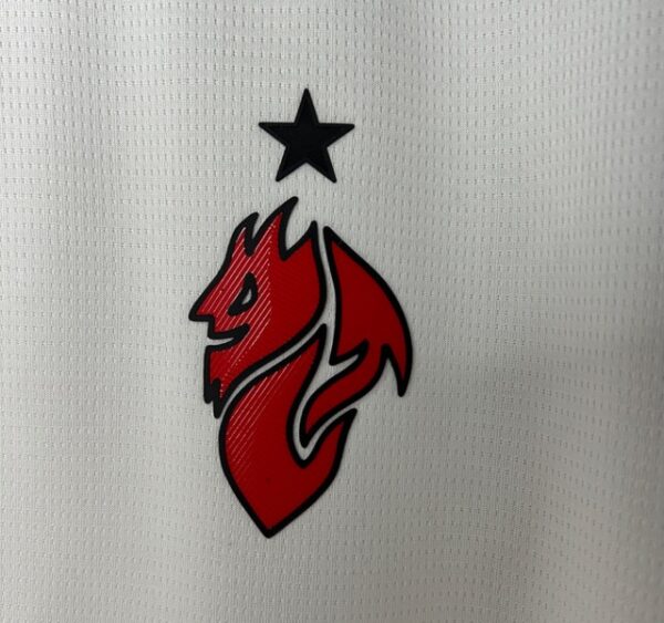 MILAN VISITA 2026 - Imagen 4