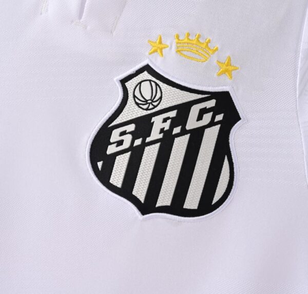 SANTOS LOCAL 2025 - Imagen 3