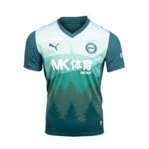 ALAVÉS ALTERNATIVA 25/26